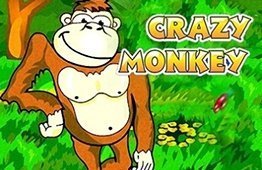 Crazy Monkey