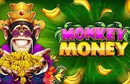 Monkey Money