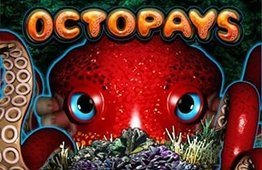 Octopays