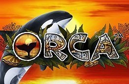 Orca