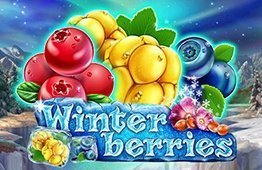Winterberries
